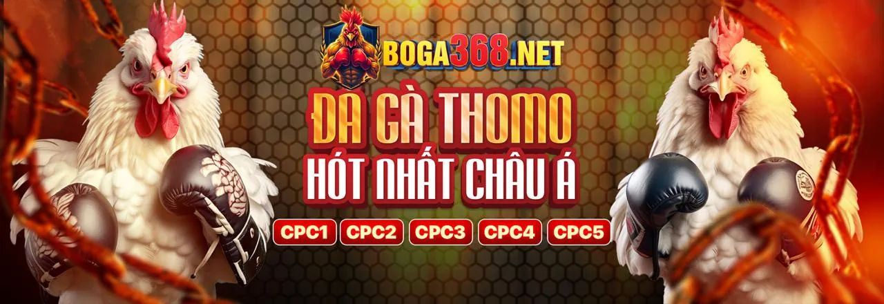 Giới thiệu về a99 chính thức và độ uy tín